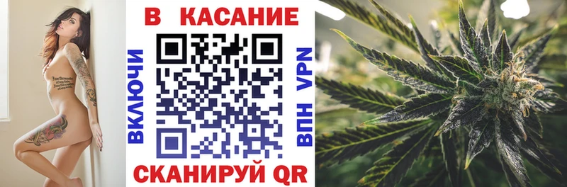  Кокаин Сольцы