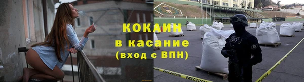 сатива Алзамай