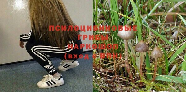 эйфоретик Алексин