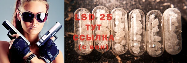 шишки Абинск