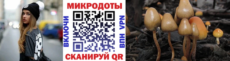 Галлюциногенные грибы Cubensis  Сольцы 